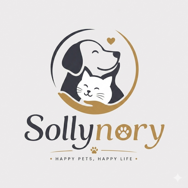 Sollynory